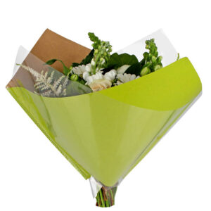 Hoes 40x40cm Oblique OPP35/80gr L. Groen