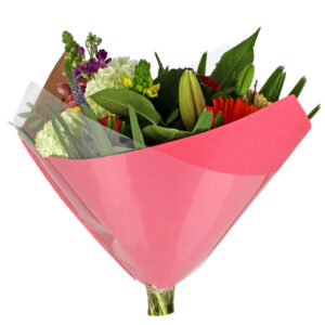 Hoes 40x40cm Oblique OPP35/80gr Cyclaam