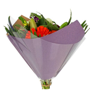 Hoes 40x40cm Oblique OPP35/80gr Paars