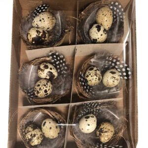 Nest met 2 kwartel ei (6 stuks)