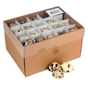Kwartel eieren 3cm 60 stuks Naturel