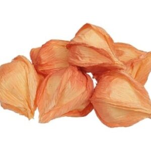 Physalis 24 stuks Oranje